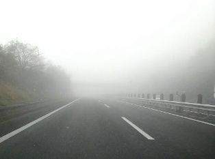 P1000150