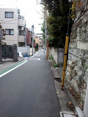 20111112154902999_336x448