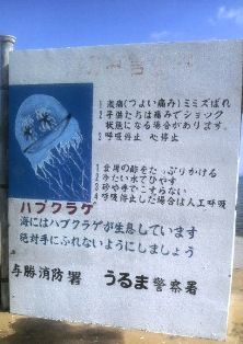 P1000801