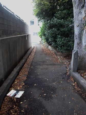 20111112153212658_336x448