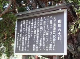 P1000475