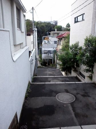 20111112153607207_336x448