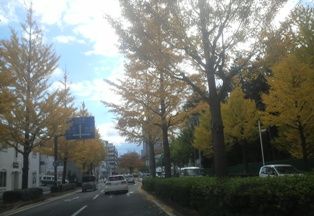 P1001021