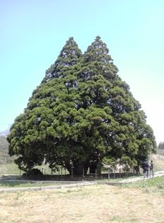 P1000478