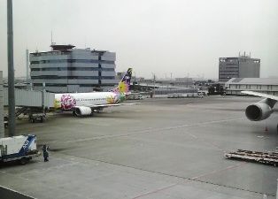 P1000367