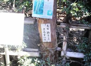 P1000208