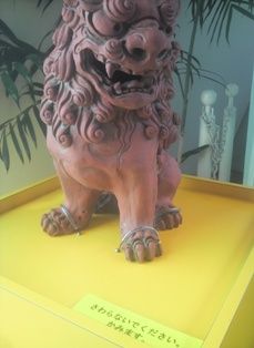 P10010251