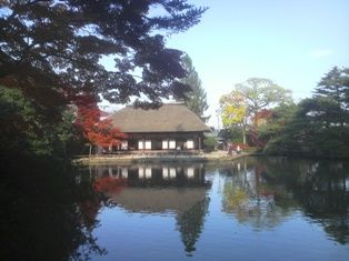 P1001007