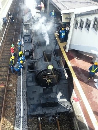 Dsc_1225_338x448 Dsc_1225_338x448