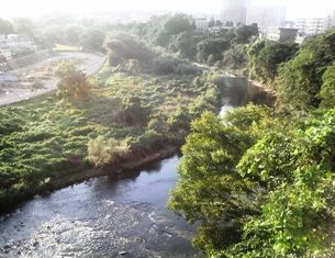 P1000592