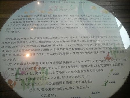 P1001027
