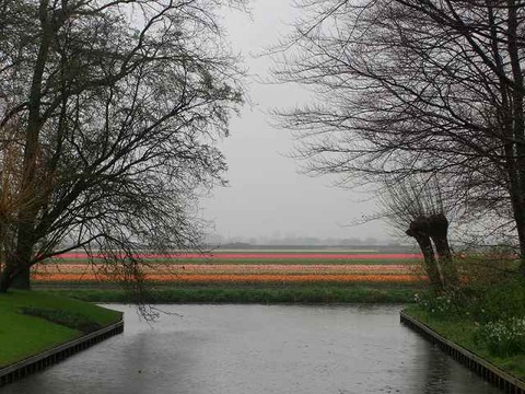 s-20090503_keukenhof_079_w800