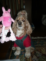 ocho���󡡤Ρ����ڻ�