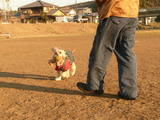 bo-ru
