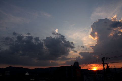 IMG_9856