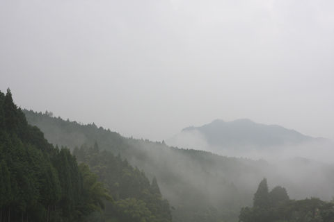 IMG_9870