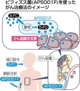 ビ