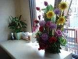 flower2
