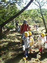20051011栗拾い