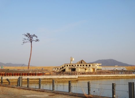 a7290245