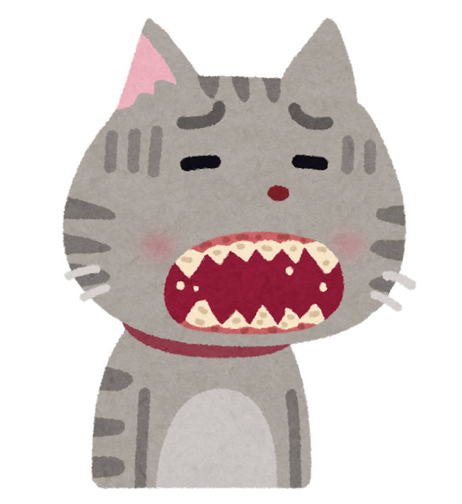 pet_ha_byouki_cat