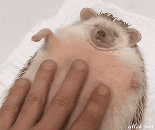 RPMVwU4