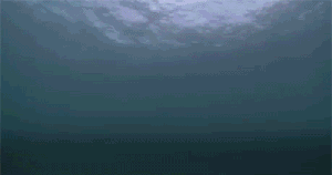 qQtwtut