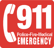 911 pfm logo