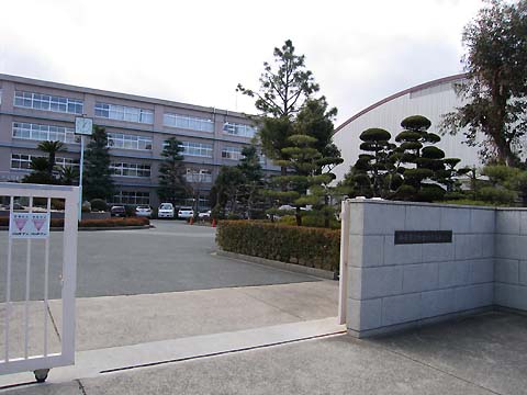 doko