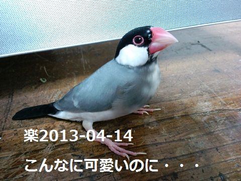 CA3G0715