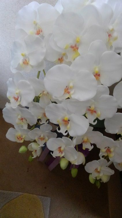 KIMG0057