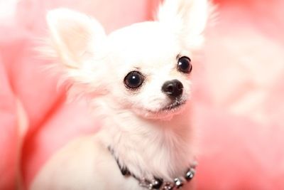 2d418390fe7d98fcfe4262d3faa50bc2[1]