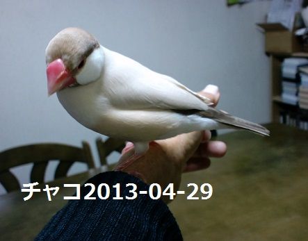 CA3G0724