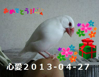 BlogPaint