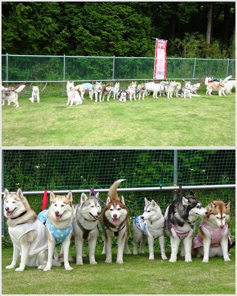 集合写真