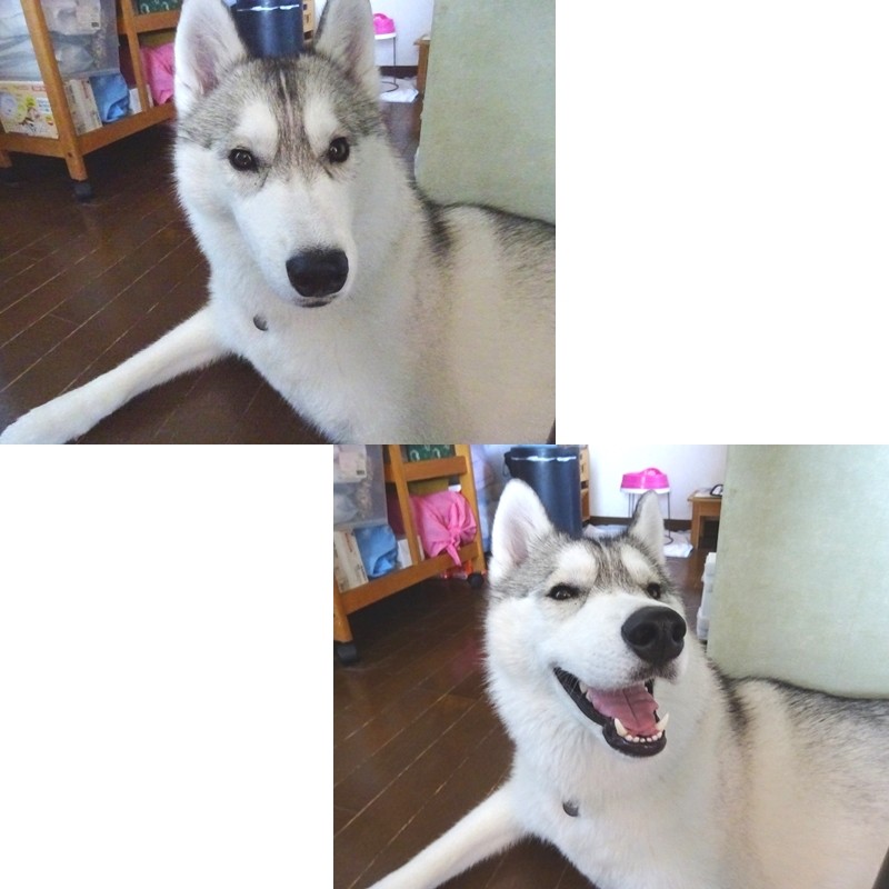 翌日