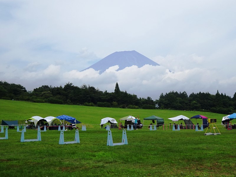 朝霧アリーナ
