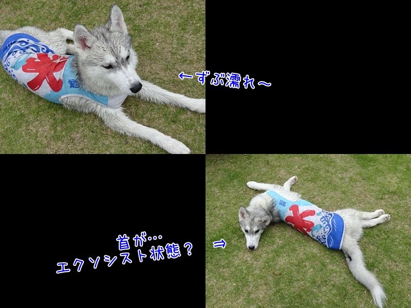 ずぶ濡れ