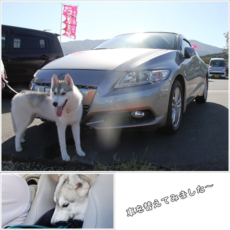 車