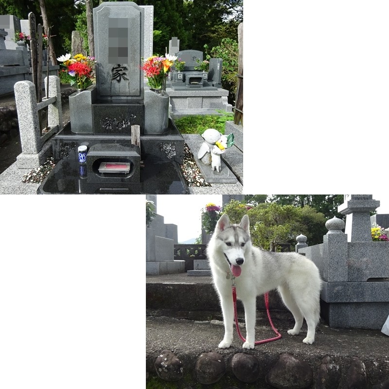 お彼岸