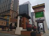 P1030692 (Medium)