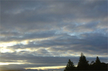 6b41216e.jpg