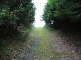 画像 161