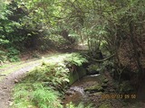 画像 175