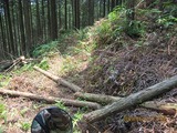 画像 145