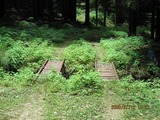 画像 213