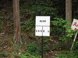 画像 172