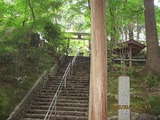 画像 155