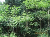 画像 105