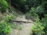 画像 122